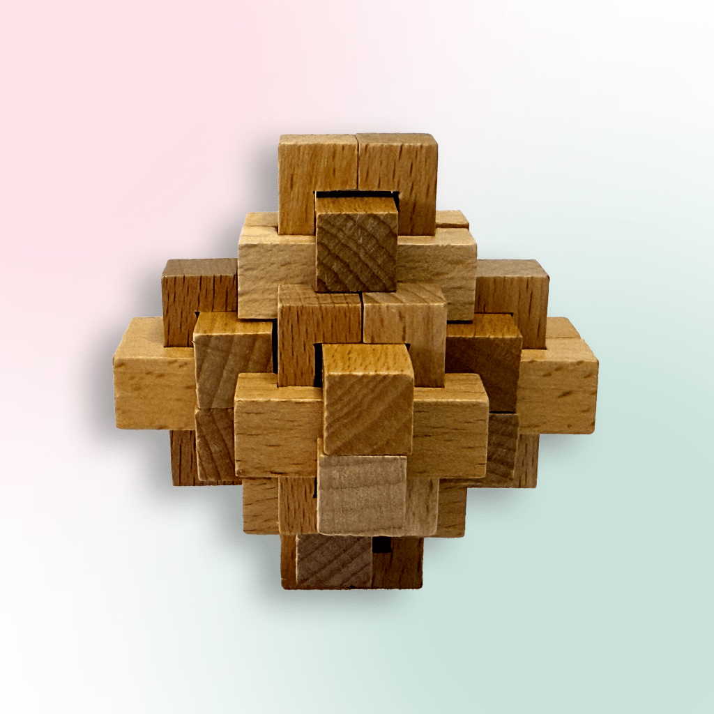 24 Pieces Wooden Burr Puzzle